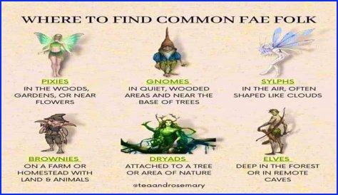 What does fairy ring look like?